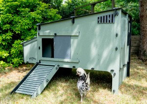 A chicken standing in front of a chicken coop

AI-generated content may be incorrect.