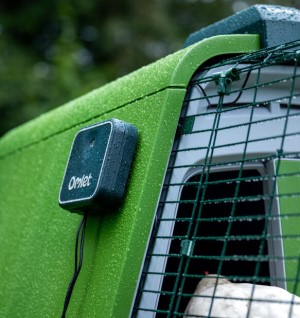 A close-up of a bird in a cage

AI-generated content may be incorrect.